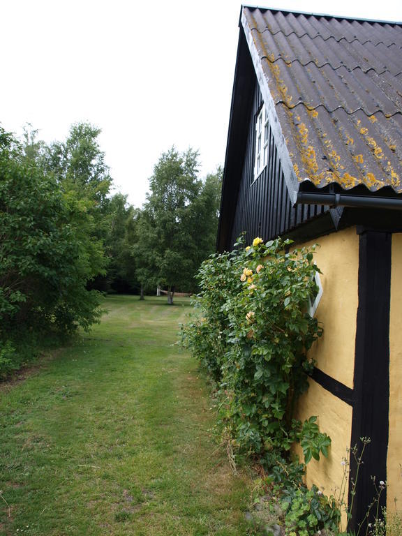 Faedrelandet Ferielejlighed & Turridning Laeso Exterior photo
