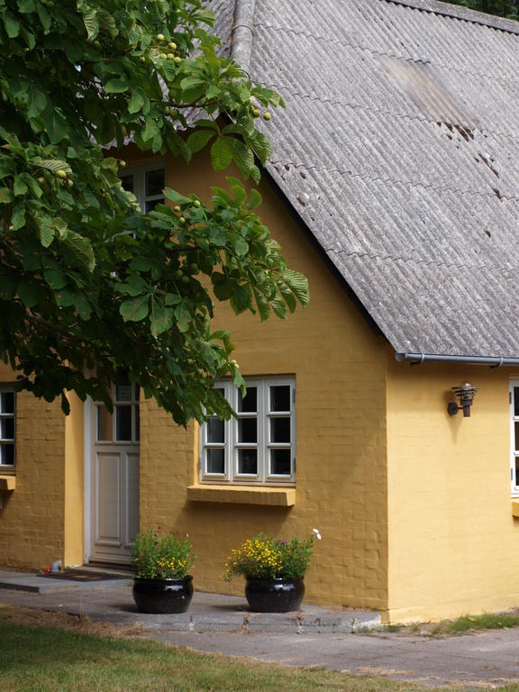 Faedrelandet Ferielejlighed & Turridning Laeso Room photo